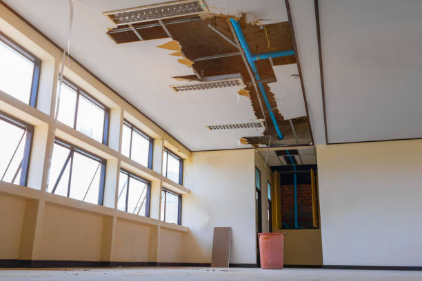 Best Fire Damage Restoration  in Heritage Pines, FL