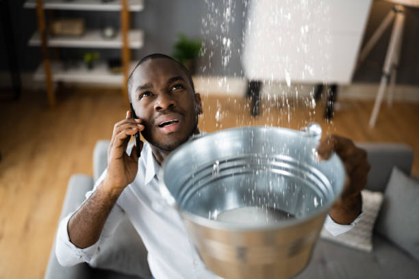 Best Ceiling water damage repair  in Heritage Pines, FL