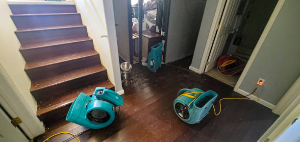 Local water damage restoration in Heritage Pines, FL