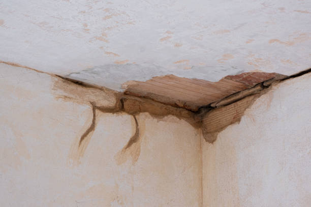 Best Basement water damage restoration  in Heritage Pines, FL