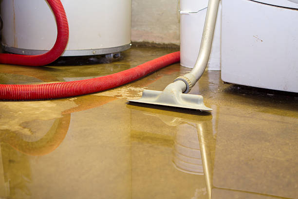 Best Local water damage restoration  in Heritage Pines, FL
