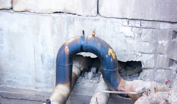 Carpet water damage restoration in Heritage Pines, FL