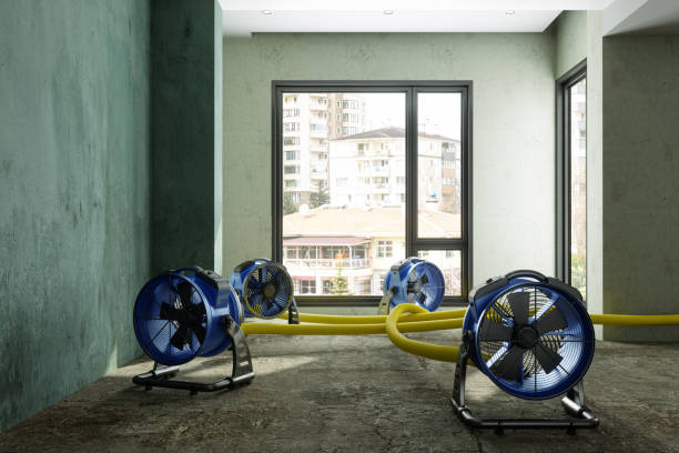 Best 24/7 water damage repair  in Heritage Pines, FL