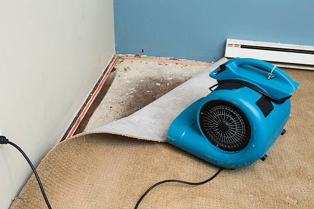 Best Flood damage cleanup  in Heritage Pines, FL